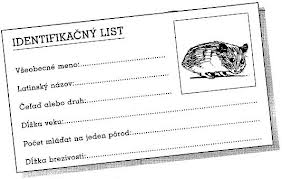 images-4