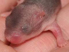 images-9